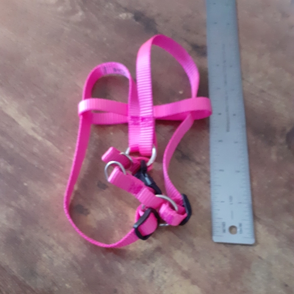 Coastal Nylon Standard Adjustable Dog Harness - Neon Pink-XS - Picture 2 of 3